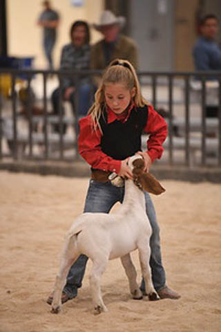 Kerr County Fair